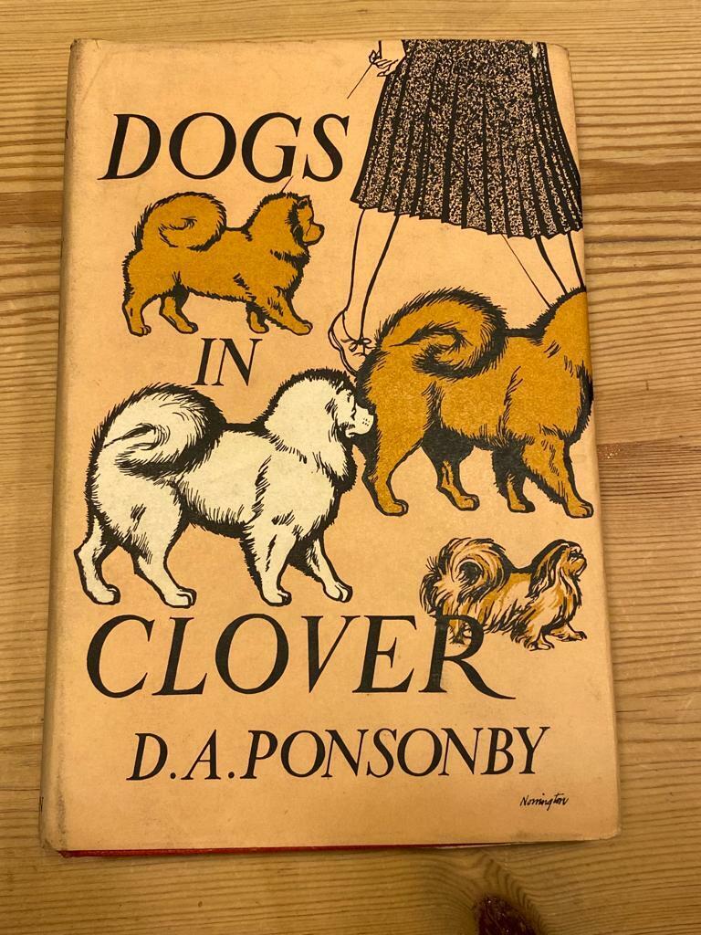 Rare Chow Chow Dog Story Book By Ponsonby 1st 1954 In Rare Illustrated D/w