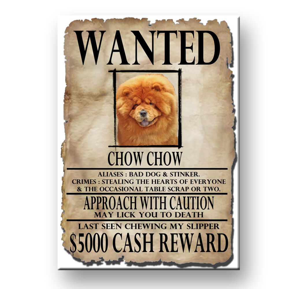 Chow Chow Wanted Poster Fridge Magnet New Dog