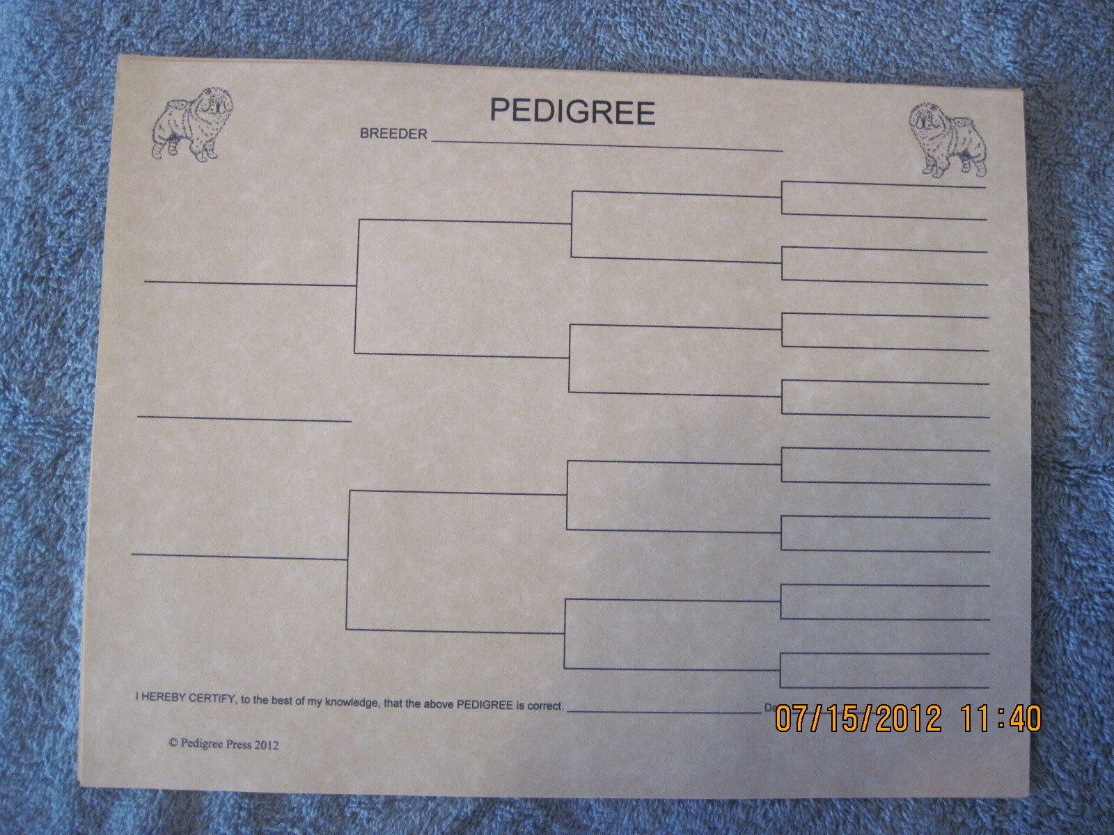 Chow Chow Blank Pedigree Sheets Pack 10 Dog Canine