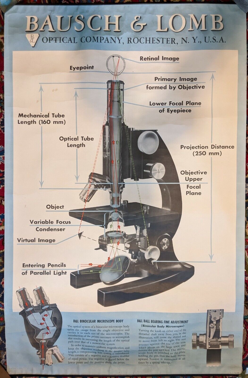 vintage Bausch & Lomb microscope poster 38.5x24.75