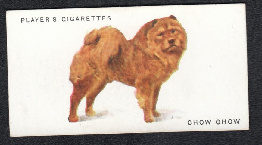 Chow Chow Vintage 1931 Arthur Wardle Dog Painting Card